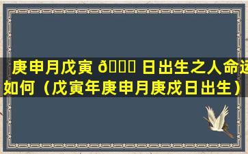 庚申月戊寅 🐋 日出生之人命运如何（戊寅年庚申月庚戍日出生）